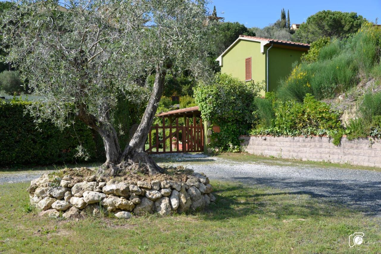 Casa Verde Country House Montescudaio Exterior photo