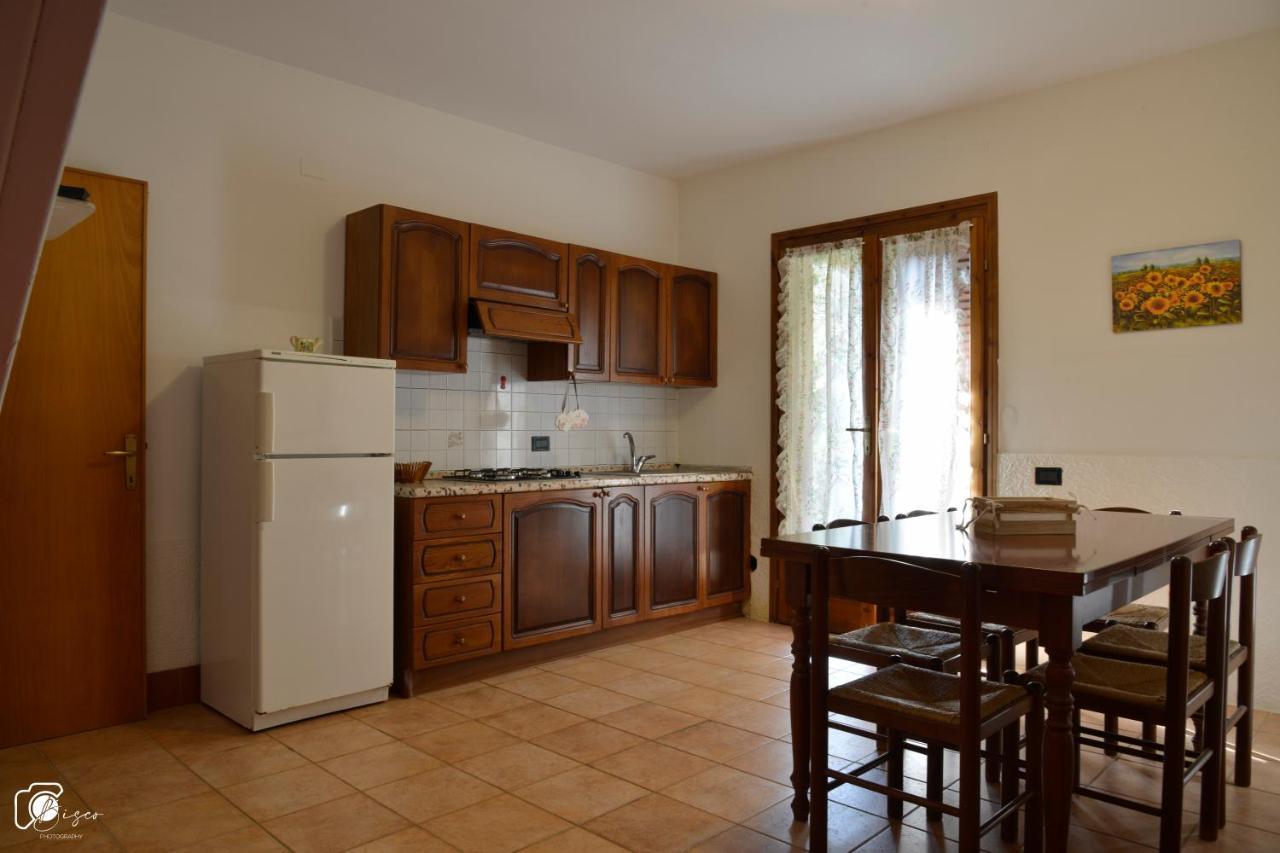 Casa Verde Country House Montescudaio Exterior photo