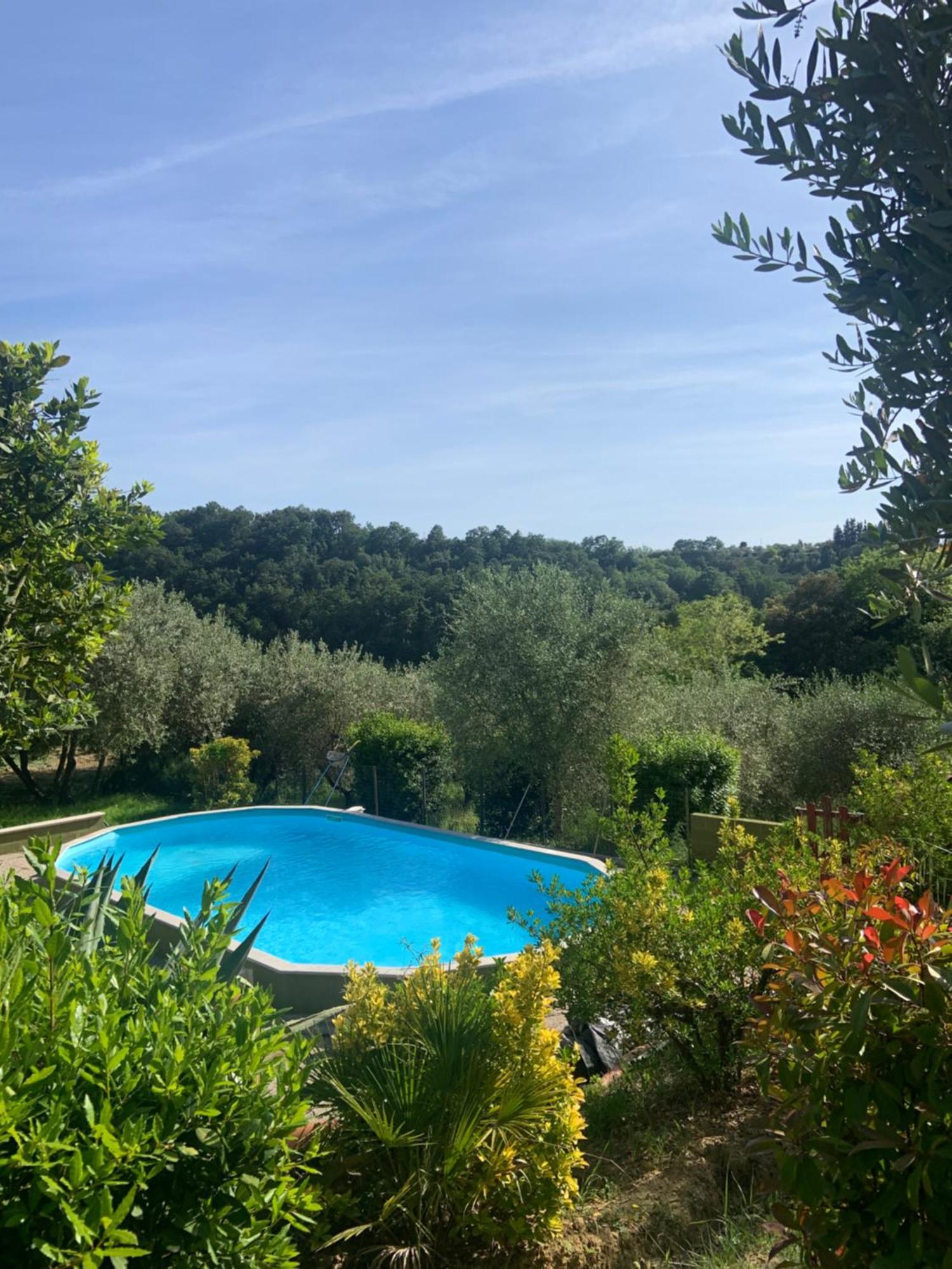 Casa Verde Country House Montescudaio Exterior photo